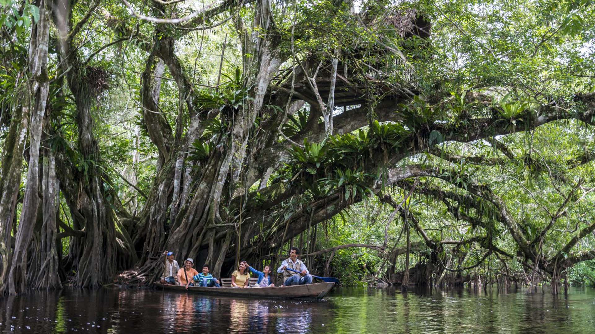 Alto mayo Meraviglia Naturale